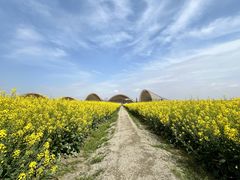 -中国天府农业博览园