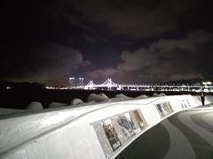 -广安大桥