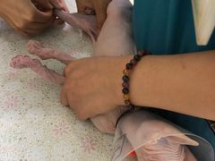 -美联众合动物医院·24h京西诊疗中心
