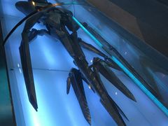 -变形金刚3D对决之终极战斗
