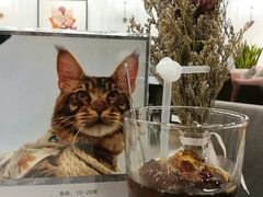 -袖虎·猫馆(体育西路店)