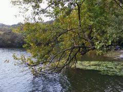 景点-紫霞湖公园