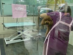 -暖阳宠物医院·犬猫康复中心·骨科