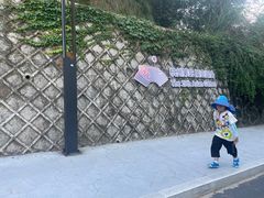 -千岛湖天屿景区
