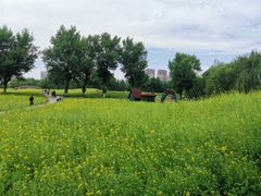 -长白岛森林公园