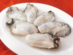 生蚝-花苑美食横琴生蚝火锅(拱北粤华路店)