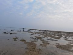 -北海金海湾红树林生态旅游区