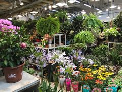 -双季花艺园艺市场(浦东店)