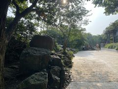 -紫金山山顶公园