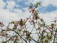 -黄兴公园