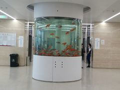 -泰州市人民医院(总院区)