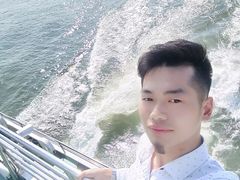 -澳门环岛游湾仔码头