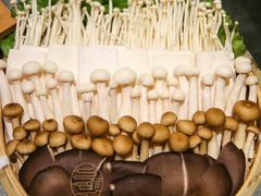 -小饕荟鲜牛肉火锅(仁和·熙春郡店)