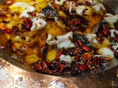 -雲蜀龙阁·金牌水煮鱼(方庄店)