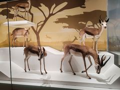 -陕西自然博物馆