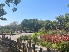 -福田红树林生态公园