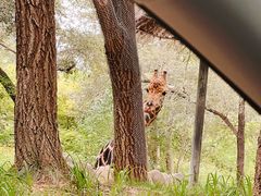 -北京野生动物园