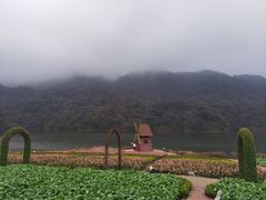 -广州市石门国家森林公园
