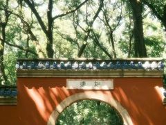 -灵谷景区