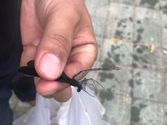 -野三坡清泉山风景区