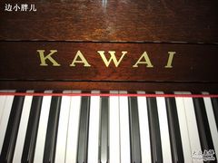 -柏斯音乐艺术中心·钢琴·吉他(世纪金源店)