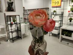 -宜家家居(哈尔滨商场店)