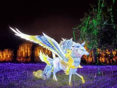 -海花岛旅游度假区