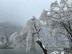 -秦岭终南山世界地质公园翠华山景区