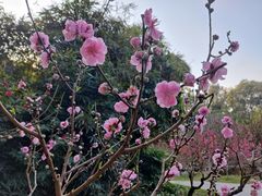 -桃花涧