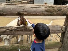 -费瑟代尔野生动物园