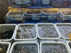 -后田海鲜餐厅(南澳香湖湾店)