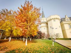 -北京张裕爱斐堡酒庄