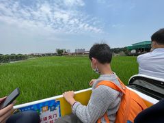 -新地休闲农场