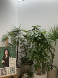 -妈妈时光机医疗产后修复(南山茂业百货店)