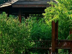 -莲花池公园