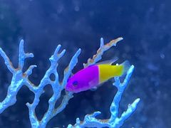 -秦皇岛新澳海底世界