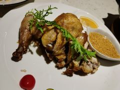 -青叶202都市餐厅(迪诺水镇店)