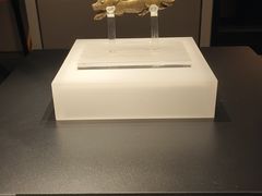 -四川博物院