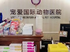 -宠爱国际动物医院·消化内科·心肾内科·ISFM猫友好(望京店)