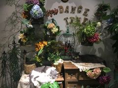 -共舞时光猫咖·狗咖(新街口店)