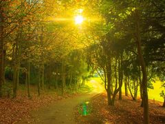 -昆明春城湖畔度假村