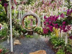 -深圳仙湖植物园
