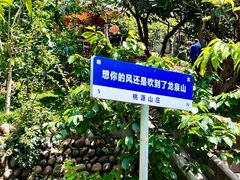-桃源山庄·水蜜桃采摘·柴火鸡·烧烤团建(龙泉山店)