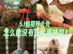 -正佳极地海洋世界