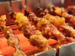 -邢氏老太太烤串(北兴街店)