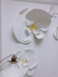 -babiline芭比莱恩半永久纹眉纹唇发际线
