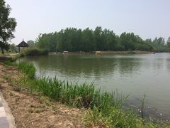 金陵饭店-南京金陵饭店