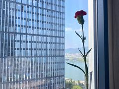 -长沙富力万达文华酒店