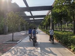 -宝安西湾红树林湿地公园