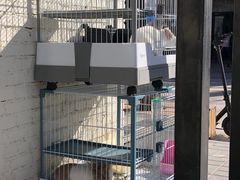 -小意思咖啡店(草桥店)